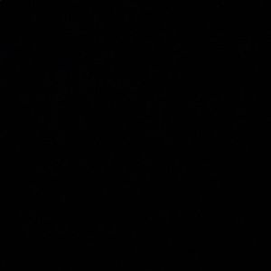 Meet your Posher, Zak